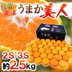 みかん 佐賀県 JAからつ ”うまか美人みかん” 2S/3Sサイズ 約2.5kg【予約 10月中旬以降】 送料無料
