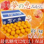  мандарин Kumamoto производство сон будущее ~ сон. . мандарин ~ красный превосходящий товар S/M/L размер примерно 4kg[ предварительный заказ 11 месяц средний . после ] бесплатная доставка 