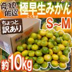 みかん ”極早生みかん” ちょっと訳あり S〜Mサイズ 約10kg【予約 10月中下旬以降】 送料無料