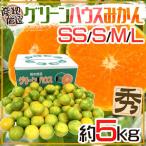 みかん ”グリーンハウスみかん” 秀品 SS/S/M/Lサイズ 約5kg 産地厳選 温室みかん【予約 8月以降】 送料無料