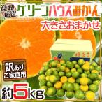 みかん ”グリーンハウスみかん” 訳あり 約5kg 大きさおまかせ 産地厳選 温室みかん【予約 8月以降】 送料無料