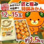 �݂��� ���Q�E�����Y �h���Ƌɂ݂��� �݂����̒����ւ�h 12�`15�� ��1.5kg �݂���񕿉��ϔ��y�\�� 11�����{�ȍ~�z ��������