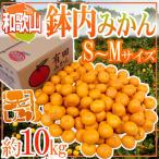 みかん 和歌山・有田産 ”鉢内みかん” 秀品 S〜Mサイズ 約10kg はちうちみかん【予約 11月末以降】 送料無料