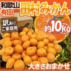 みかん 和歌山有田産 ”田村みかん” 訳あり はなまる等級 約10kg 大きさおまかせ【予約 11月末以降】 送料無料