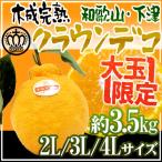 ショッピングデコポン 和歌山県下津産 ”樹上完熟 クラウンデコ” 2L/3L/4Lサイズ 約3.5kg【予約 3月以降】 送料無料