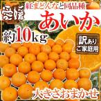 ~ Ehime производство .. какой такой же товар вид ...~ есть перевод примерно 10kg размер случайный [ предварительный заказ 11 конец месяца после ] бесплатная доставка 