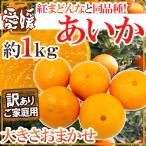 ”愛媛産 紅まどんなと同じ品種 あいか” 訳あり 約1kg 大きさおまかせ【予約 11月末以降】
