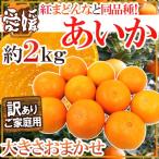 ”愛媛産 紅まどんなと同じ品種 あいか” 訳あり 約2kg 大きさおまかせ【予約 11月末以降】 送料無料