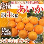 ”愛媛産 紅まどんなと同じ品種 あいか” 訳あり 約3kg 大きさおまかせ【予約 11月末以降】 送料無料
