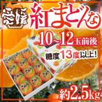 愛媛産 ”紅まどんな” 10〜12玉前後 約2.5kg 化粧箱 最低糖度13度以上【予約 12月中旬以降】 送料無料