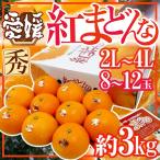 愛媛産 ”紅まどんな” 秀品 2L〜4L 8〜12玉 約3kg【予約 12月以降】 送料無料