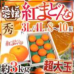 愛媛産 ”紅まどんな” 秀品 超大玉限定3L/4L 8〜10玉 約3kg【予約 12月以降】 送料無料