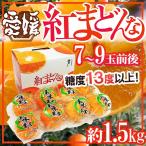 愛媛産 ”紅まどんな” 7〜9玉前後 約1.5kg 化粧箱 最低糖度13度以上【予約 12月中旬以降】 送料無料