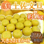 ”高知産土佐文旦”訳あり約7kg大...