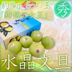  земля . Kochi ~ кристалл помело ~ превосходящий товар большой шар 5~7 шар примерно 3kg[ предварительный заказ 10 месяц после ] бесплатная доставка 