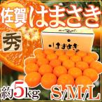 佐賀産 ”はまさき” 秀品 S/M/L 約5kg 産地箱入り 麗紅【予約 2月以降】 送料無料