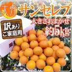 ショッピング大分 大分産 新品種 ”サンセレブ” 訳あり 約5kg 大きさおまかせ【予約 12月以降】 送料無料