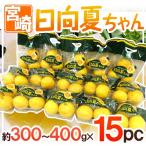 �{��Y �h�����Ă����h 15�܁i1�܂�����3�`4�� ��300�`400g�j�y�\�� 2�����{�ȍ~�z ��������