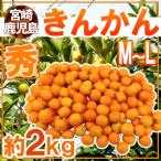 宮崎・鹿児島県 ”きんかん” 秀品 M/