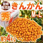 宮崎・鹿児島県 ”きんかん” 秀品 M〜