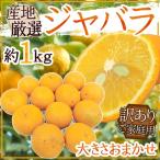 産地厳選”ジャバラ”訳あり大きさお...