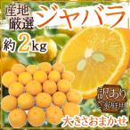 ”ジャバラ”訳あり約2kg大きさお...