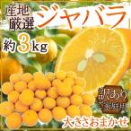 商品画像2