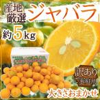 ”ジャバラ”訳あり約5kg大きさお...