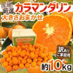 ”カラマンダリン” 訳あり 約10kg 大きさおまかせ 産地厳選 春みかん【予約 4月下旬以降】 送料無料