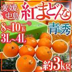 愛媛中島産 ”紅まどんな” 青秀品 3L〜4L 8〜10玉 約3kg【お歳暮・予約 12月以降】 送料無料