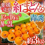 愛媛中島産 ”紅まどんな” 青秀品 M〜2L 12〜16玉 約3kg【お歳暮・予約 12月以降】 送料無料