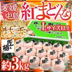  Ehime средний остров производство ~.. какой ~ Special превосходящий товар L размер и больше примерно 3kg [ Takumi . высшее ] серии [ подарок по случаю конца года * предварительный заказ 12 месяц после ] бесплатная доставка 