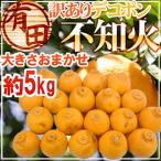 ショッピングデコポン ”和歌山 有田産 不知火・しらぬい（訳ありデコポン）” 約5kg 大きさおまかせ【予約 2月下旬以降】 送料無料