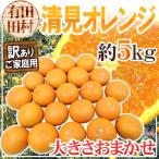 和歌山・田村産 ”清見オレンジ” 訳あり 約5kg 大きさおまかせ【予約 3月中下旬以降】 送料無料