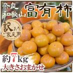  Wakayama * Nara производство ~. иметь хурма ~ есть перевод примерно 7kg размер случайный [ предварительный заказ 11 месяц после ] бесплатная доставка 