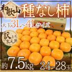  Wakayama производство ~.. нет хурма ~ есть перевод 3L~4L размер 24~28 шар примерно 7.5kg[ предварительный заказ 10 месяц после ] бесплатная доставка 