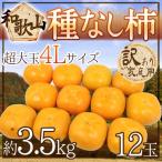 ~ Wakayama производство .. нет хурма ~ есть перевод супер большой шар 4L 12 шар примерно 3.5kg[ предварительный заказ 10 месяц после ] бесплатная доставка 