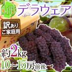 山形産 ”デラウェア” 訳あり 10〜15房前後 約2kg【予約 7月下旬以降】