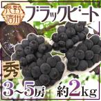ぶどう”長野産ブラックビート”秀品...