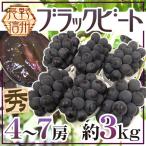 ぶどう”長野産ブラックビート”秀品...