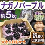 ぶどう 長野産 ”ナガノパープル” 訳あり 約5kg 大きさおまかせ ぶどう【予約 9月以降】 送料無料