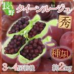  виноград Nagano префектура ~ Queen rouge ~ превосходящий товар 3~4. передний и задний (до и после) примерно 2kg красный виноград [ предварительный заказ 9 месяц средний . после ] бесплатная доставка 