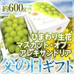 父の日ギフト”マスカット・オブ・ア...