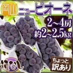 ぶどう”岡山産種なしニューピオーネ...