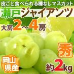 виноград Okayama производство ~ Seto ja Ian tsu~ превосходящий товар большой . ограничение 2~4. примерно 2kg[ предварительный заказ 9 месяц после ][B2]