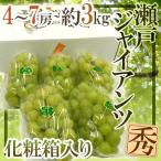  виноград Okayama производство ~ Seto ja Ian tsu~ превосходящий товар 4~7. примерно 3kg несессер [ предварительный заказ 9 месяц после ] бесплатная доставка [K1]