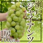  виноград Okayama производство ~ Seto ja Ian tsu~ превосходящий товар большой . примерно 700g и больше несессер [ предварительный заказ 9 месяц после ]