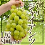  виноград Okayama производство ~ Seto ja Ian tsu~ превосходящий товар большой . примерно 800g и больше несессер [ предварительный заказ 9 месяц после ] бесплатная доставка 