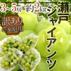  виноград Okayama производство ~ Seto ja Ian tsu~ есть перевод 3~5. примерно 2kg виноград [ предварительный заказ 8 месяц после ]