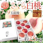 ~ Fukushima префектура производство Sakura белый персик ~ специальный отбор товар 7~9 шар передний и задний (до и после) примерно 2.5kg несессер сахар раз 15 раз и больше [ предварительный заказ 9 месяц после ] бесплатная доставка 